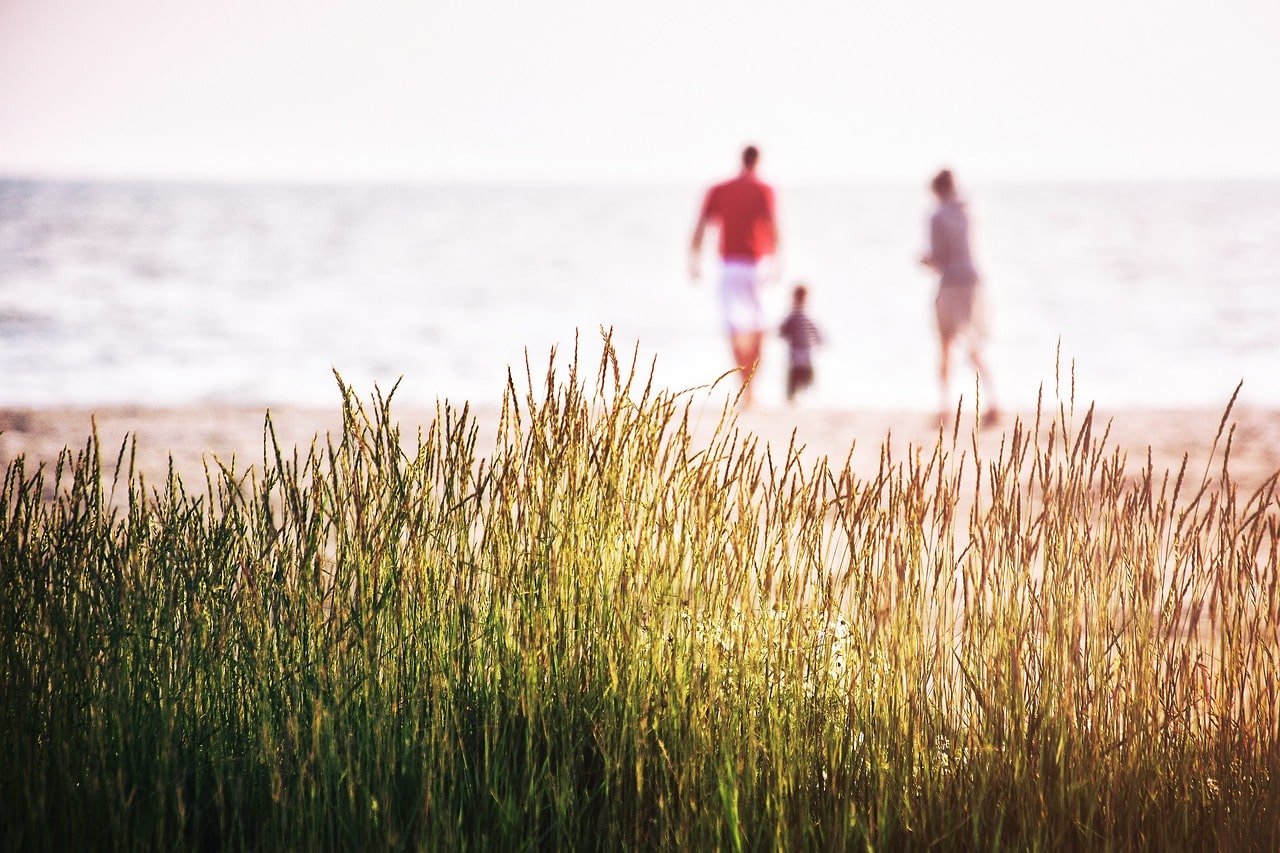 How Dysfunctional Families Shape Our Adult Lives
