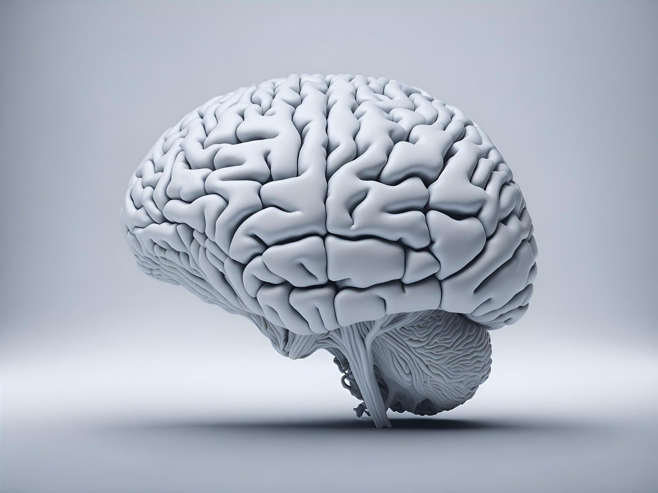 DTI for OCD Diagnosis and Treatment